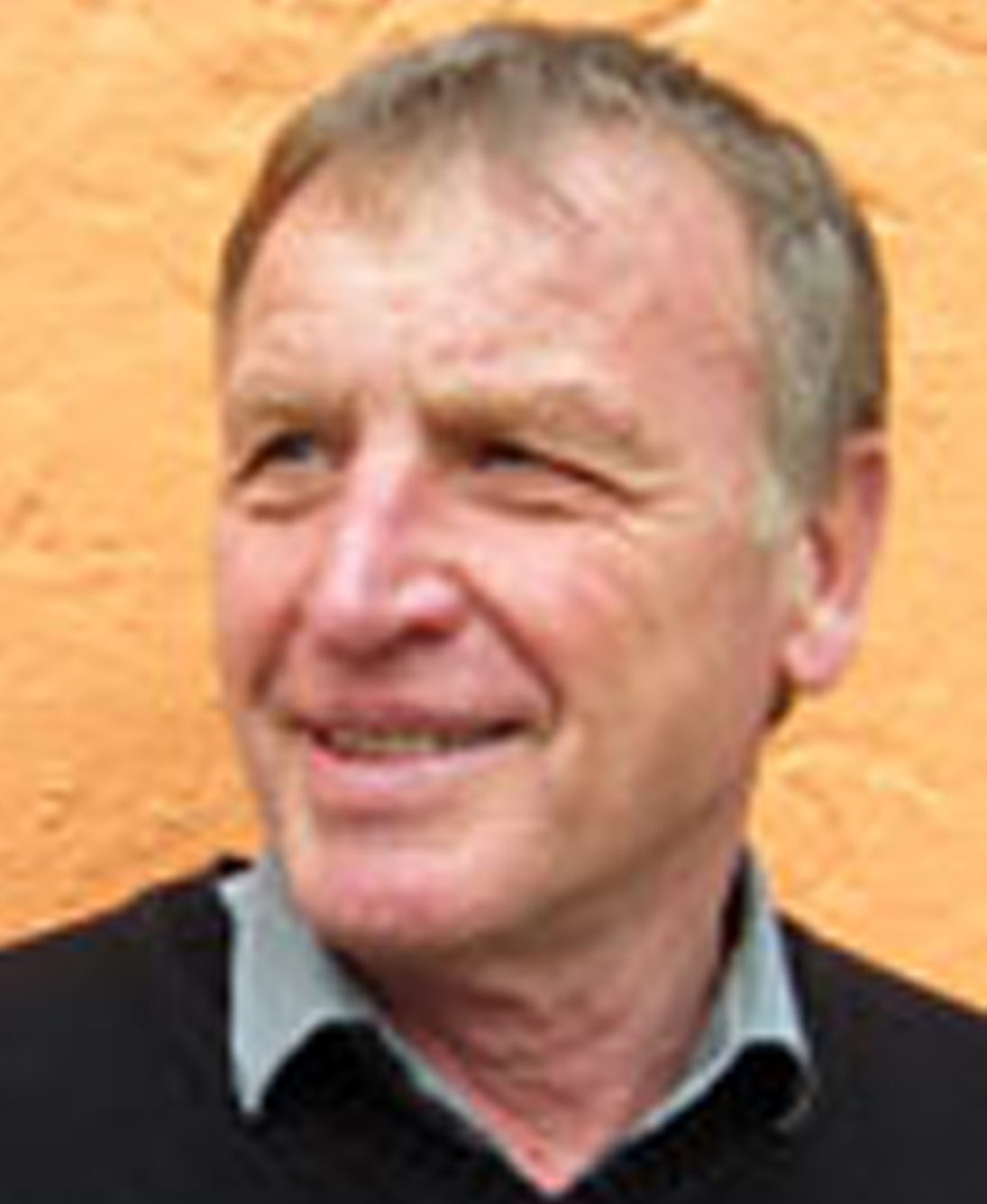 Heinrich Fuchs