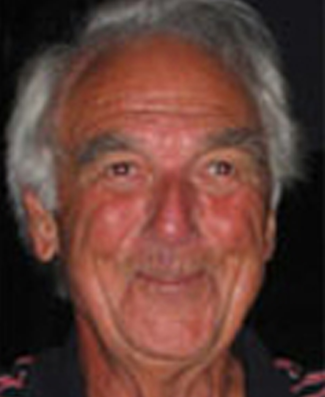 Paul Stihl